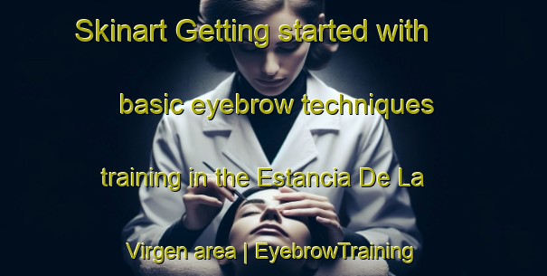Skinart Getting started with basic eyebrow techniques training in the Estancia De La Virgen area | EyebrowTraining | EyebrowClasses | SkinartTraining-Guatemala